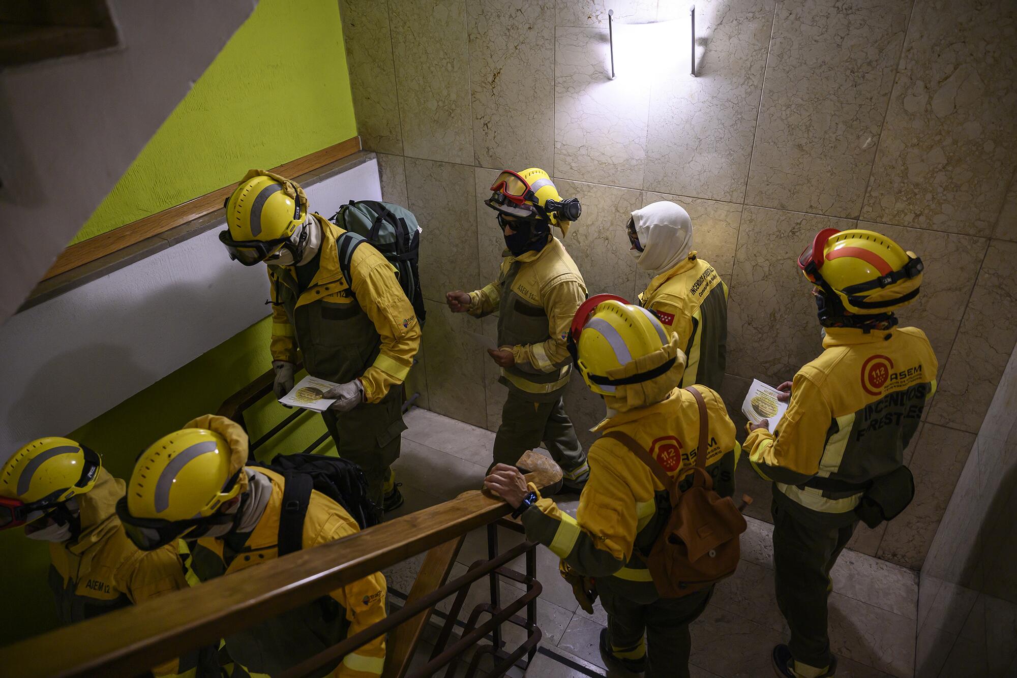 Forestales Tragsa - 9